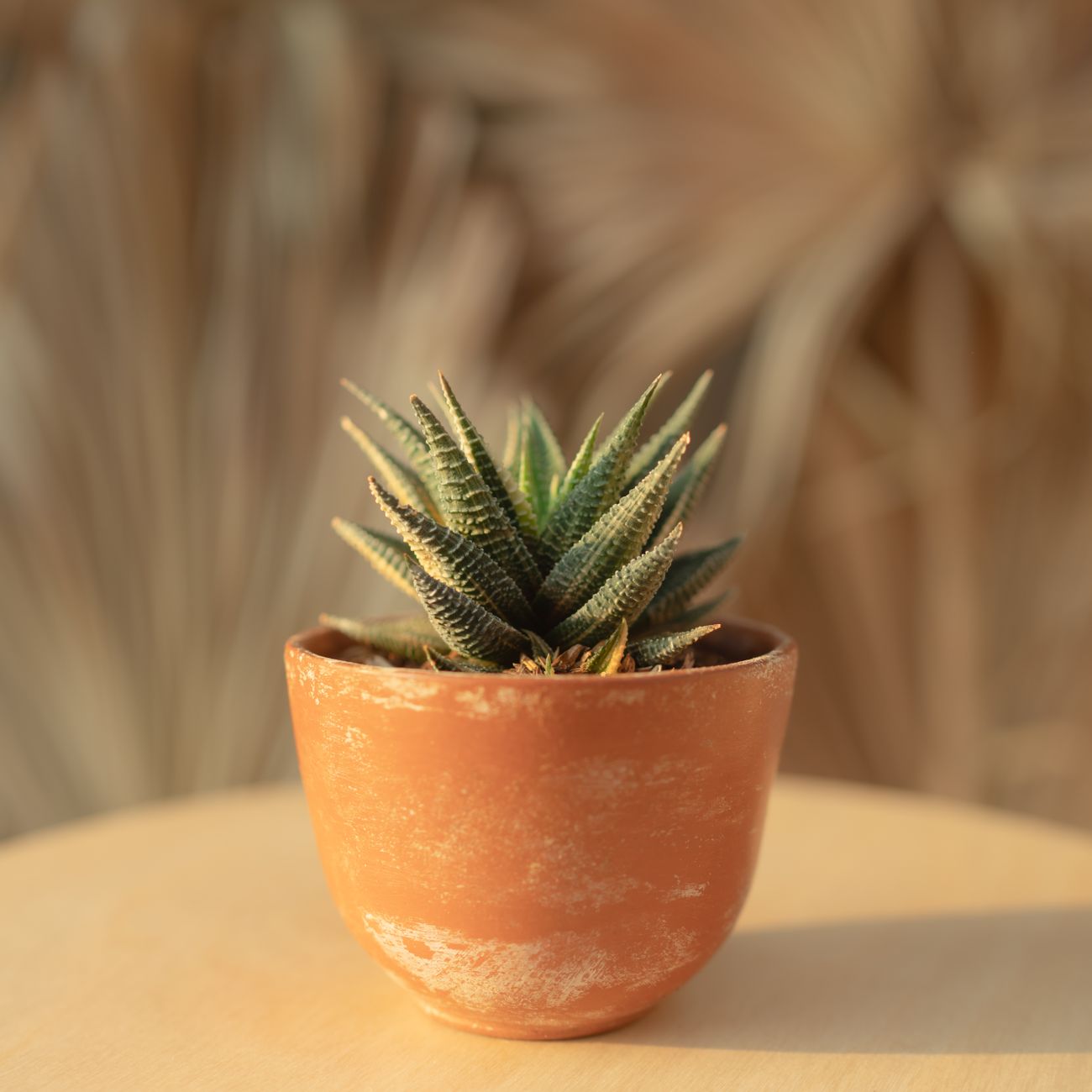 Terakota kašpa, 30 cm